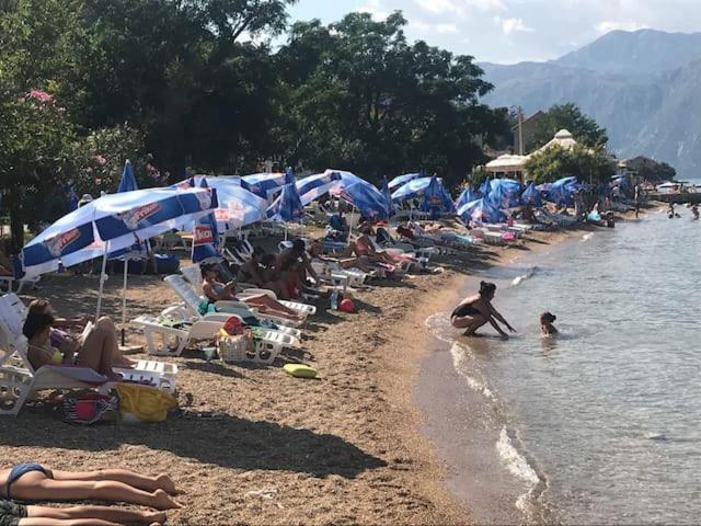 Villa Nikola Kotor Buitenkant foto