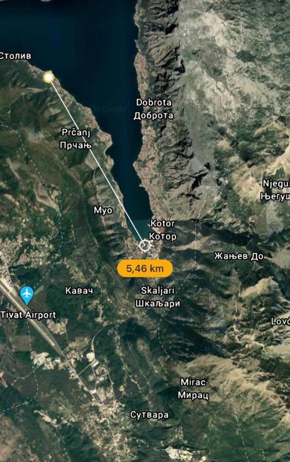 Villa Nikola Kotor Buitenkant foto