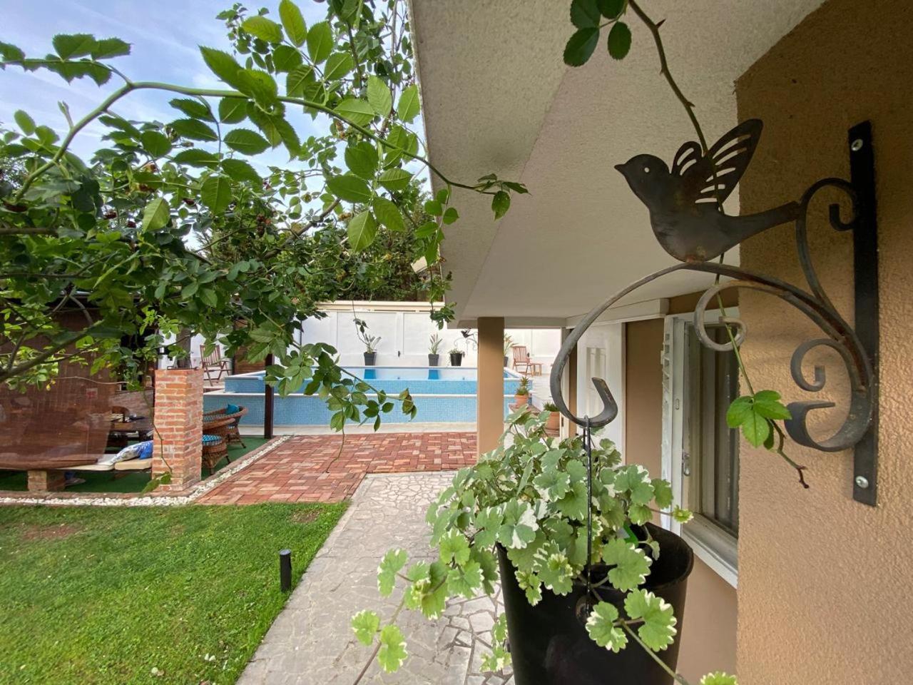 Villa Nikola Kotor Buitenkant foto